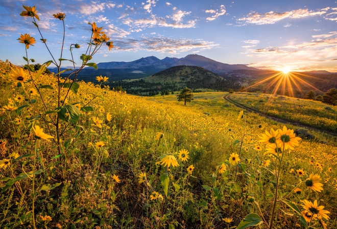 , , , , , Flagstaff, Arizona, ,  , 