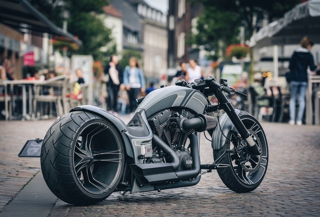 harley davidson, custom, thunderbike