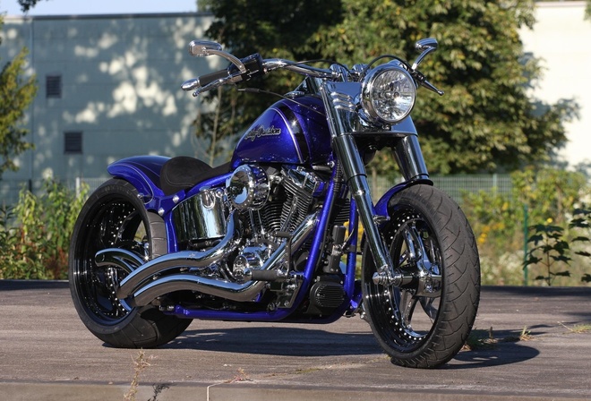 harley davidson, custom, thunderbike