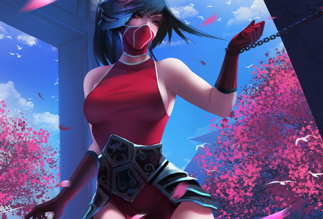 d-han, lol, league of legends, akali