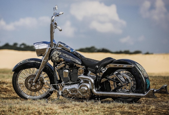 harley davidson, custom, thunderbike, ei gringo