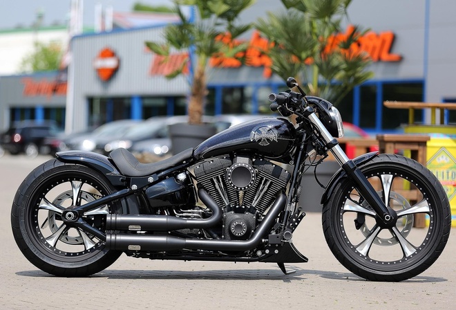 harley davidson, custom, thunderbike