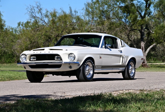 ford, mustang, gt, 500