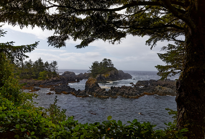 , , , Ucluelet, British, Columbia, , , 