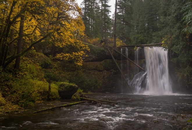 , , , Oregon, Silver Falls State Park, Upper North Falls, Silver, Creek, , 