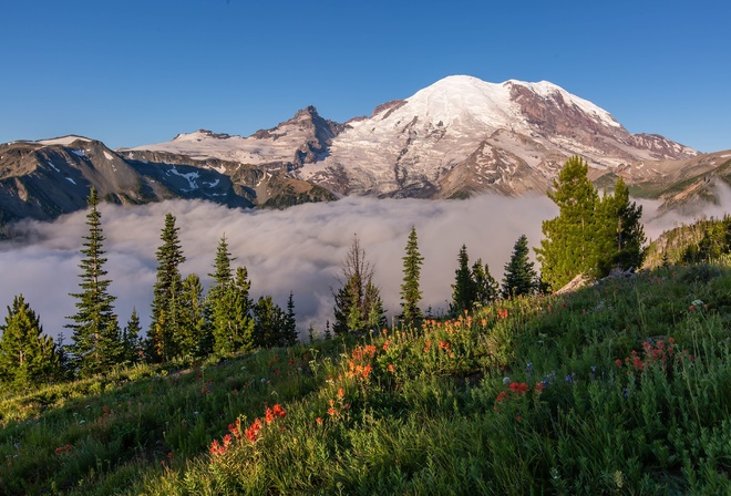 , Mount, Rainier, National Park, , , 