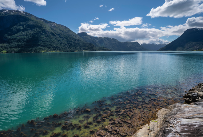 , , Lustrafjorden, fjord, , 