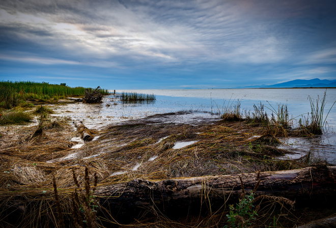 , Fraser, River, British, Columbia, 