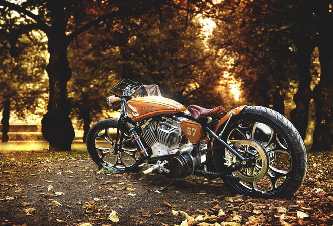 harley davidson, , 