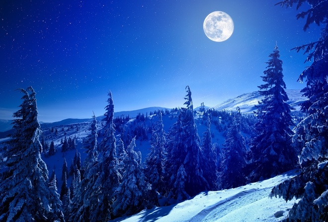 landscape, nature, mountains, forest, night, moon, snow