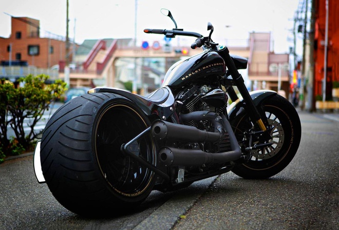 harley davidson, , 