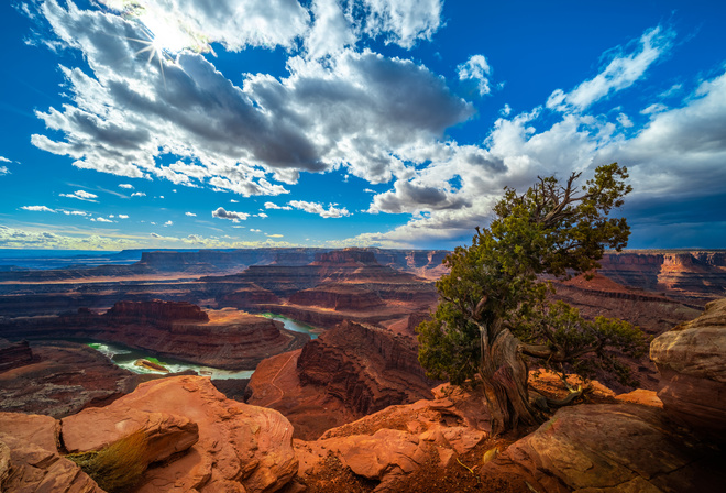 , Canyonlands, National Park, Utah, , , , , 