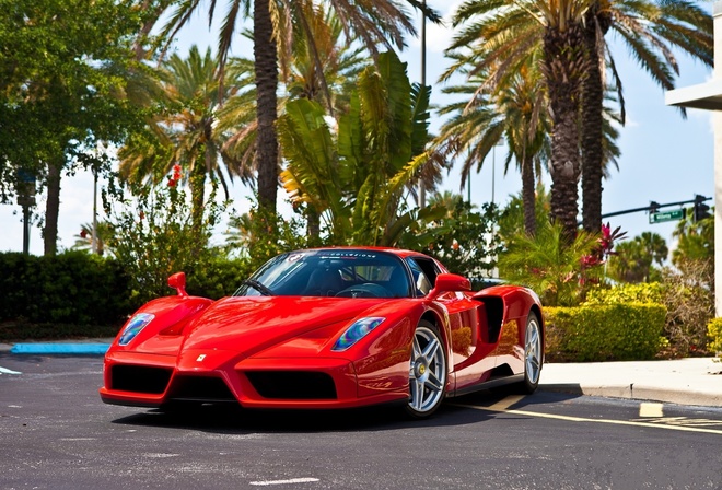 Ferrari Enzo, F60, Enzo Ferrari