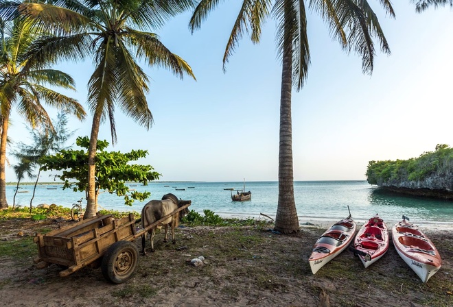 Indian Ocean, Zanzibar, kayaking