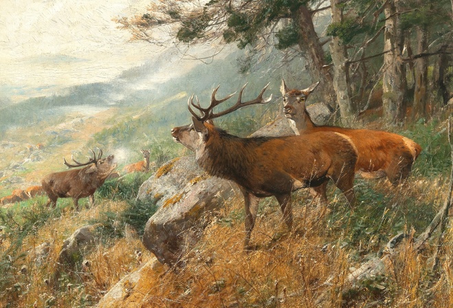 Christian Kroner, German, 1893, Deer in the clearing