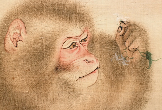 Mori Sosen, Japanese, Detail of Two Monkeys painted on silk hanging scroll