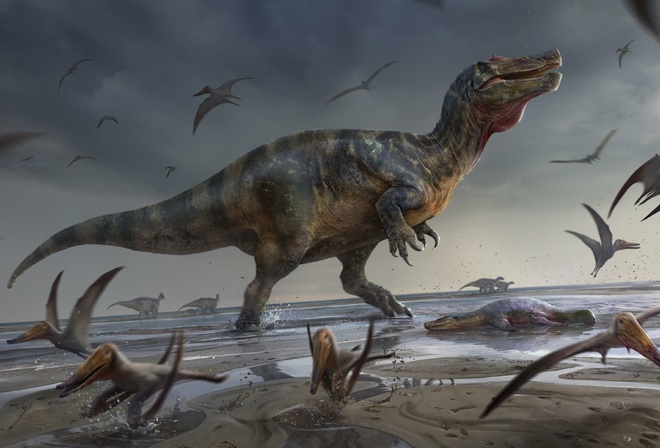 Spinosauridae, theropod dinosaurs, White Rock, hunter dinosaur