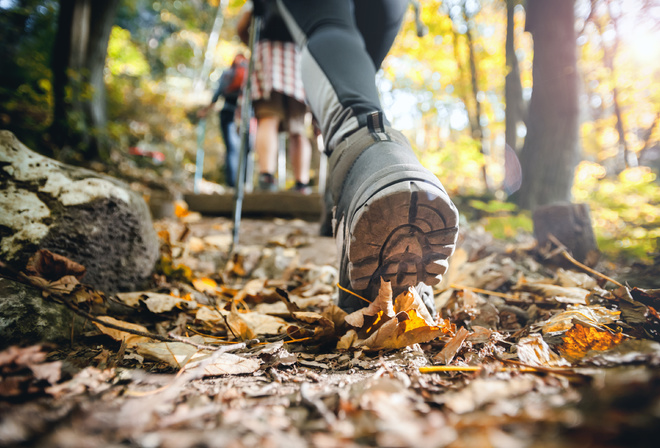 Autumn, mountain trail, trekking sticks, Hiker, performance footwear