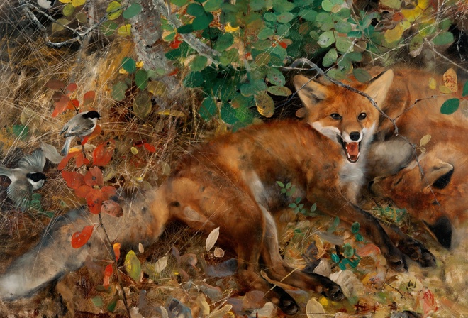 Bruno Liljefors, Swedish, 1886, Foxes