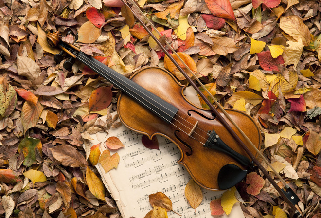 leaves, music, autumn, violin