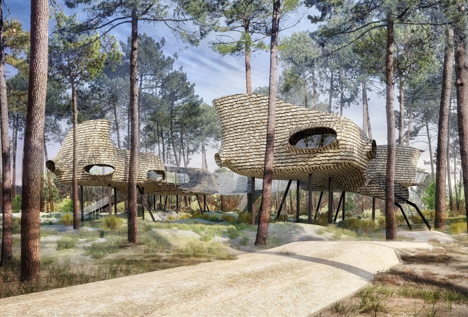 Center Parcs, resort, tree house, Landes, France