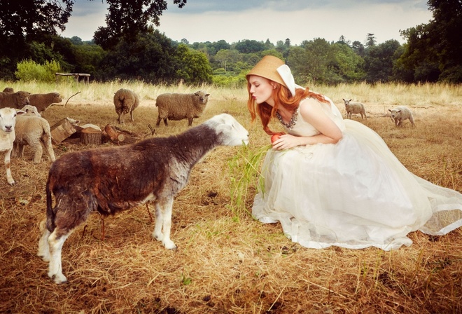 Sylvia Flote, countryside estate, sheep