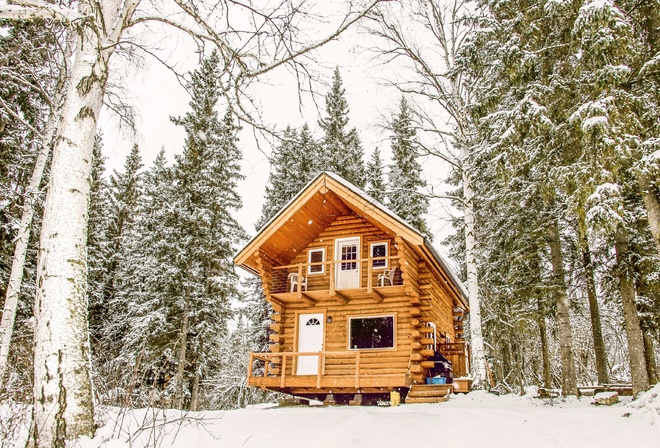 Log Cabin, wildlife, Alaska