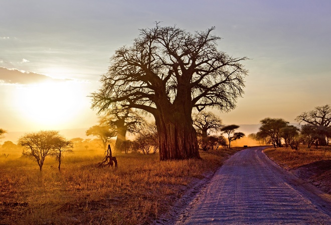 Sunset, Tarangire National Park, Tanzania