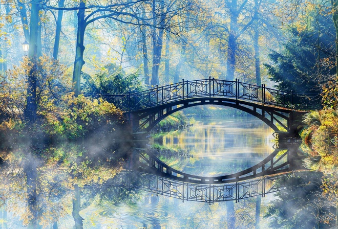 Autumn, Bridge, Forest, Nature