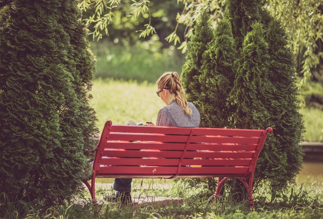 nature, garden, bench, autumn