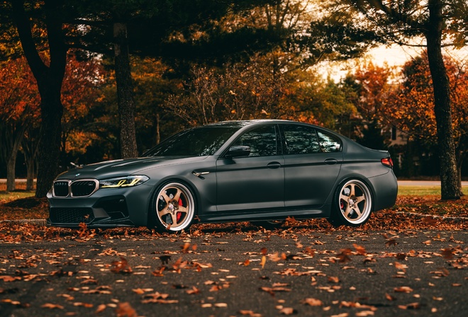 BMW, BMW M5, M5 CS, Autumn, M5 F90, F90, M5