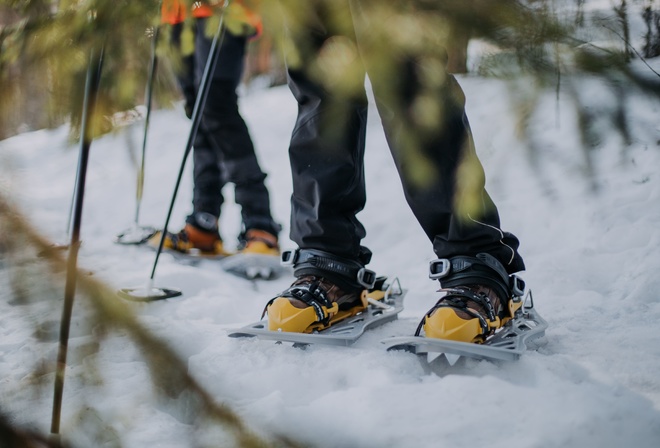 nature, snowshoes, Adventure, Lakeland, Finland