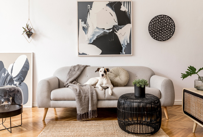 Japandi Living Room, Natural plants, grey couch