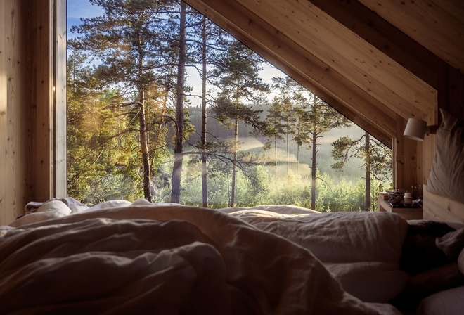 nature, Hotel Hilltop Forest, Finland