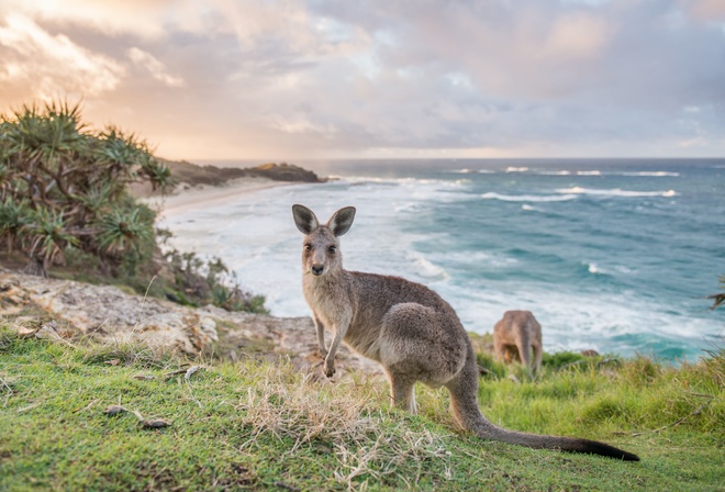 Flinders Chase National Park, Kangaroo Island, South Australia