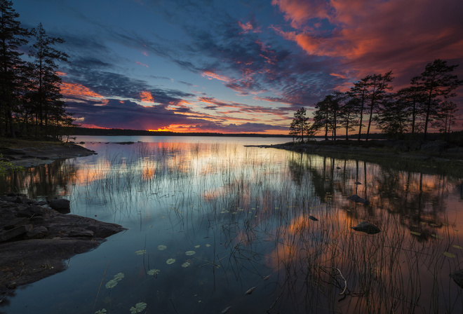 Nature, Lake at Dusk, Wood