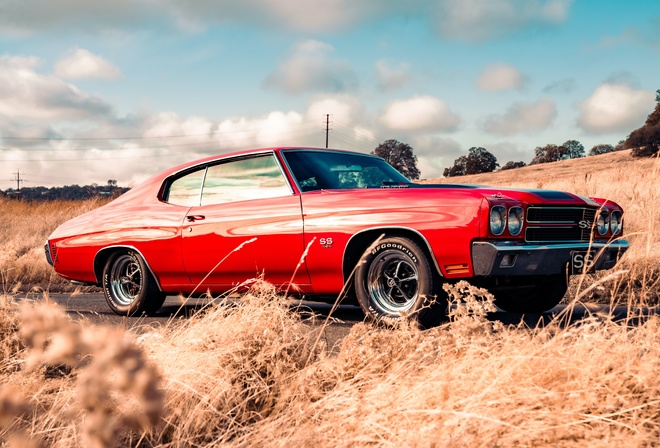 Chevrolet, mid-sized automobile, Chevrolet Chevelle SS 454, 1972