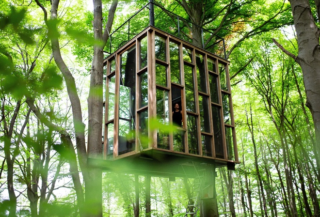 tree house, glass cabin, minimalist architecture, luxurious sanctuary, Belgian Ardennes