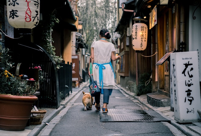 Walking The Dog, Kyoto, Japan