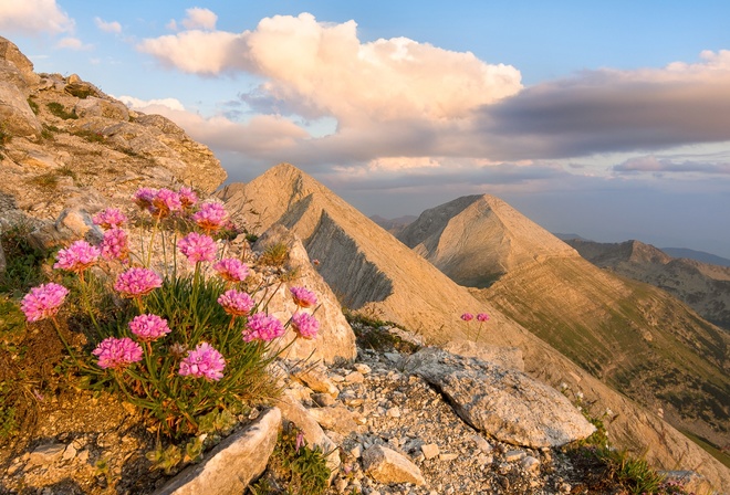 , , , , , , , sky, landscape, nature, flowers, mountains, clouds, rocks, , Bulgaria, Pirin, 