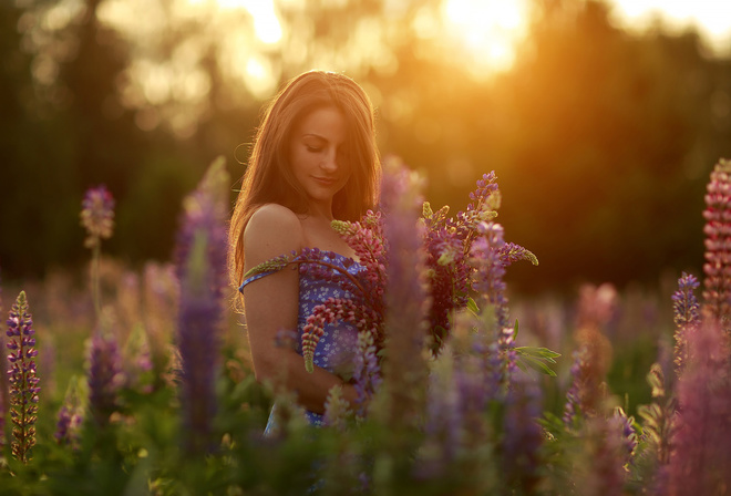 women, model, brunette, women outdoors, nature, field, summer dress, plants, flowers, trees, blue dress