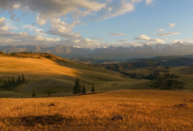 landscape, nature, grass, field, mountains, snowy peak, sky, clouds, trees