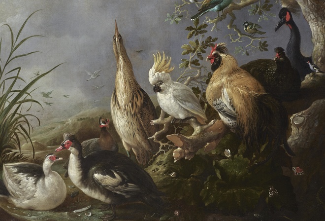 Melchior dHondecoeter, Dutch Art, A Menagerie of Exotic Birds in a Landscape