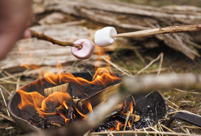 campfire, forest gatherings, toasted marshmallow