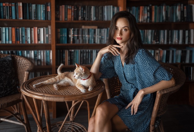 brunette, bookstore, , model, blue dress, women indoors, books, cat, red lipstick, beautiful