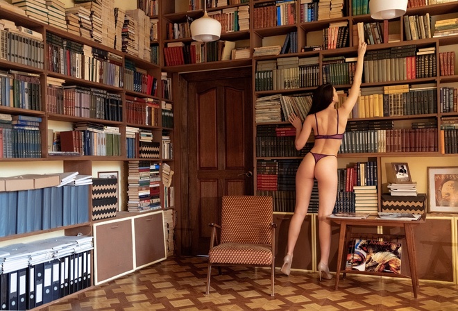 purple lingerie, rear view, ass, library, purple panties, books, model, , women indoors, brunette, hips, purple bra, bookcase