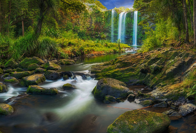 Natureza, Lago, Paisagem, Floresta