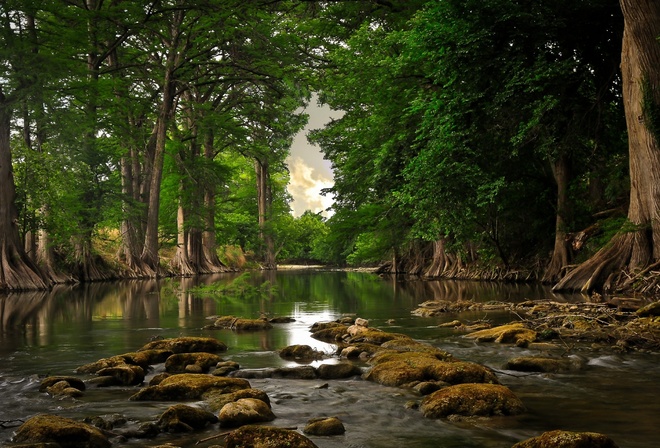 Lago, Floresta, Paisagem, Natureza