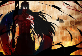 , kurosaki ichigo, Bleach