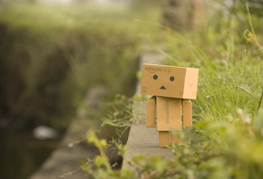 Danbo, , , , , , 